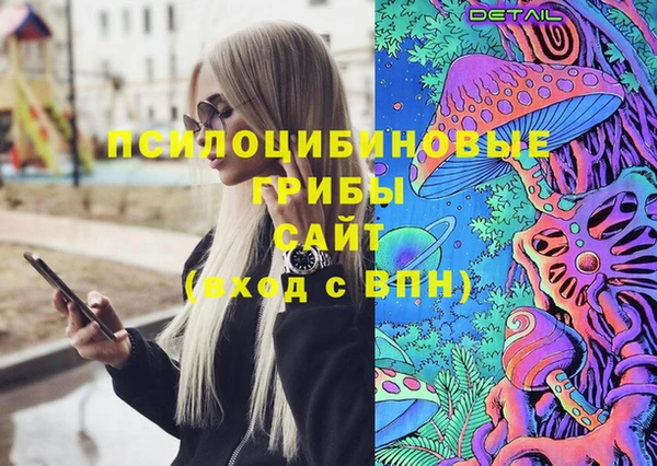 гидра Баксан