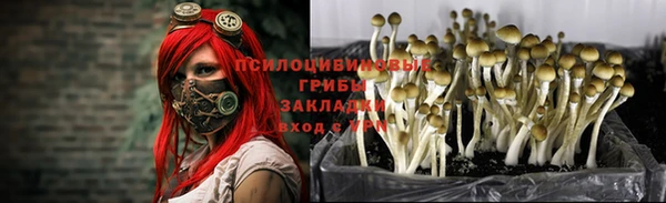 гидра Баксан