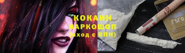 гидра Баксан