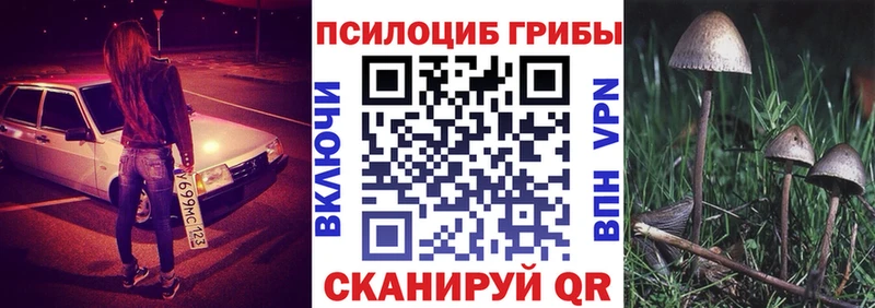 Галлюциногенные грибы прущие грибы хочу Белая Холуница