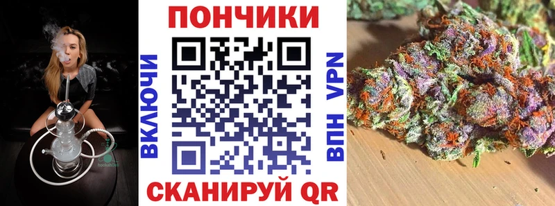 площадка формула  Белая Холуница  Шишки марихуана White Widow 